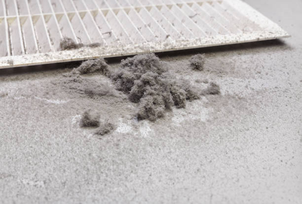 Best Air Duct Cleaning Near Me  in Riner, VA