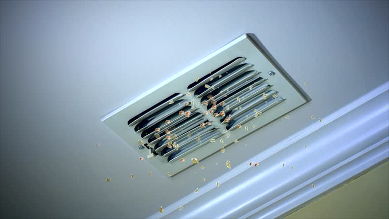 Best HVAC Air Duct Cleaning  in Riner, VA