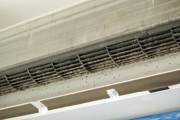 Best Ventilation Cleaning Services  in Riner, VA
