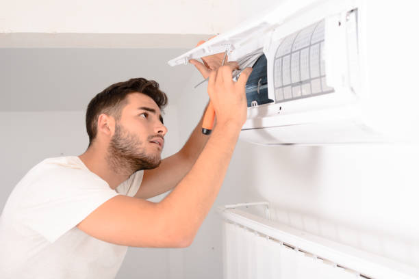 Best Air Duct Mold Removal  in Riner, VA